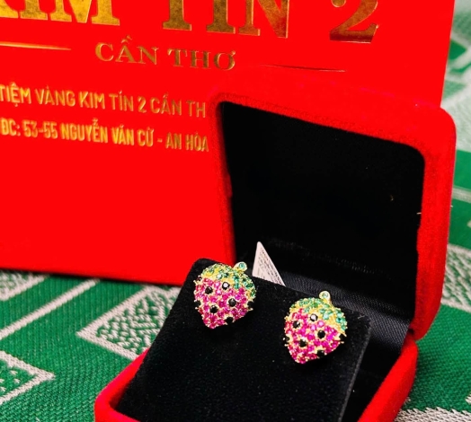 Bông Kiểu Đích Đẩy 9 Phân 6 